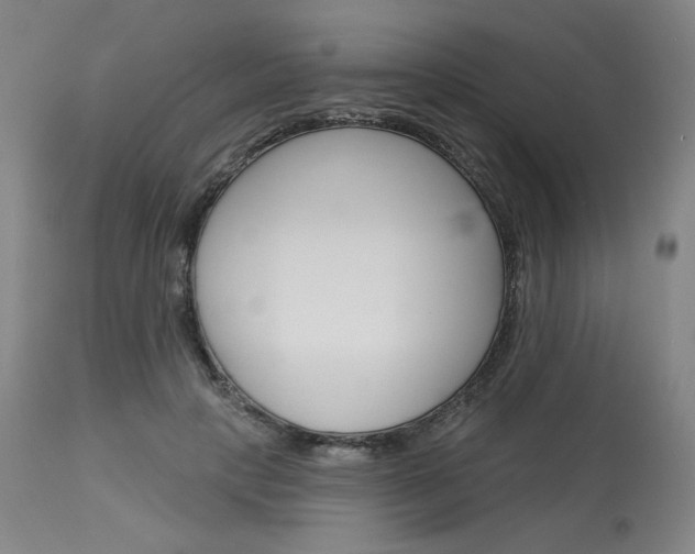 X0000114080649200910051001