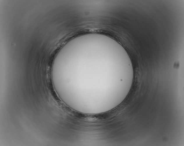 X0000114080650200910051001