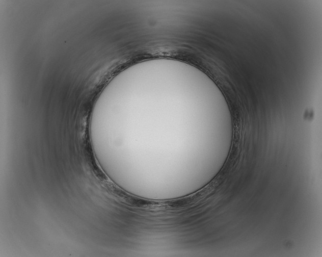 X0000114080652200910051001