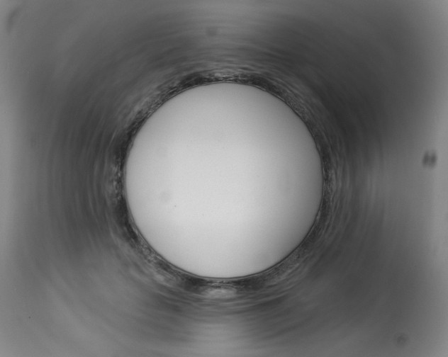 X0000114080653200910051001