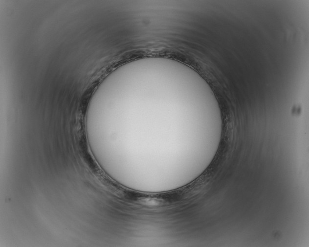 X0000114080654200910051001