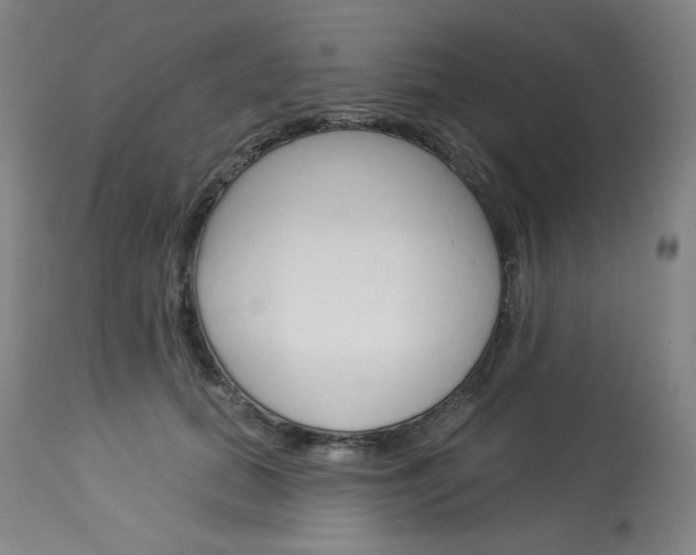 X0000114080655200910051001