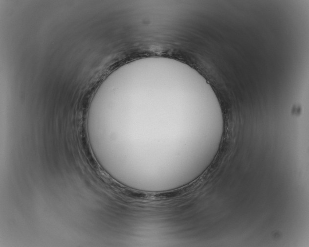 X0000114080656200910051001