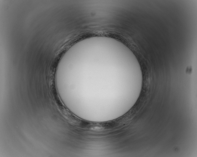 X0000114080658200910051001