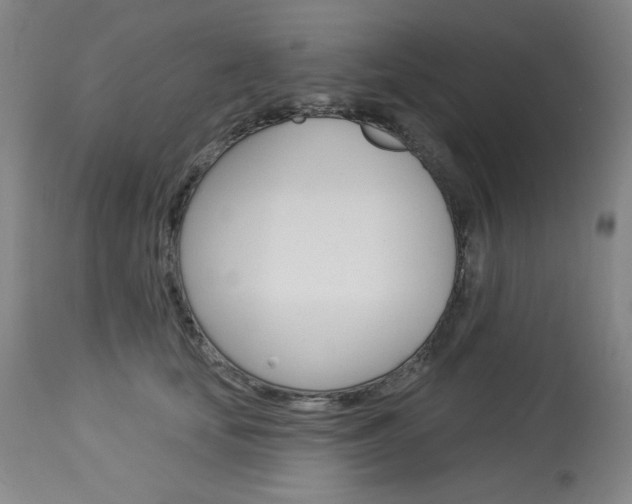 X0000114080659200910051001