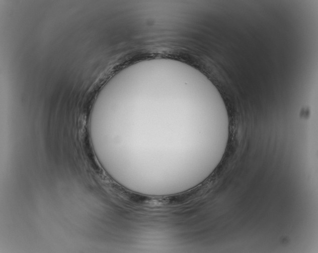 X0000114080660200910051001
