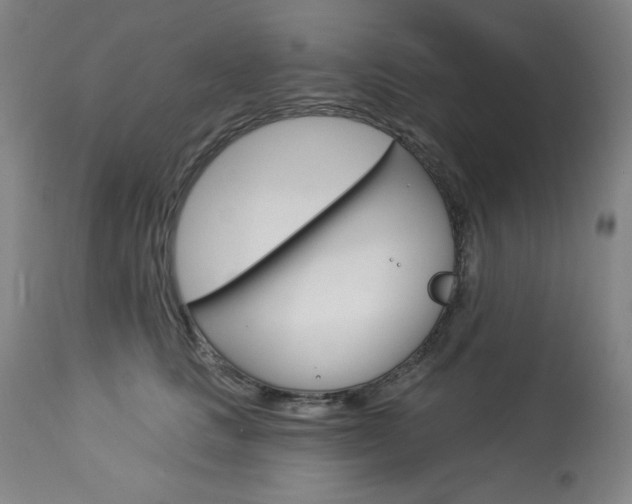 X0000114080661200910051001