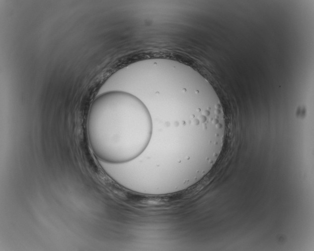 X0000114080662200910051001