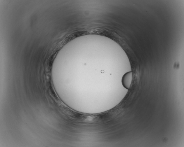 X0000114080663200910051001