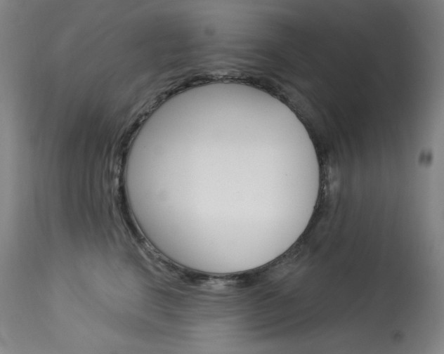 X0000114080664200910051001