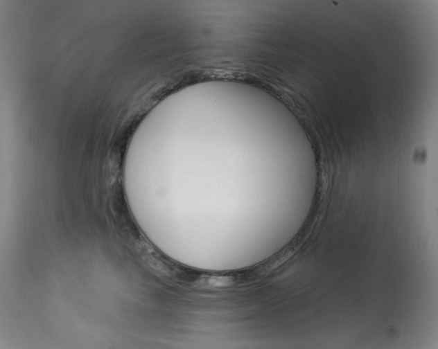 X0000114080665200910051001