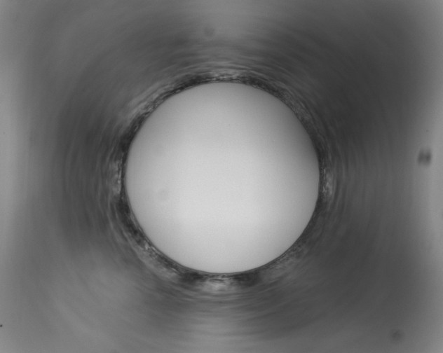 X0000114080666200910051001