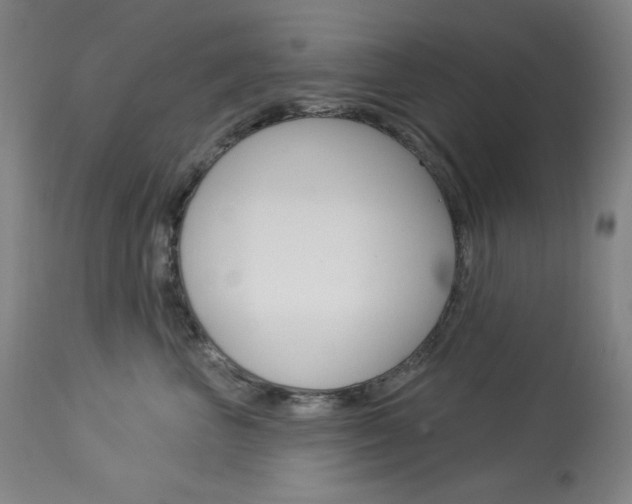 X0000114080667200910051001