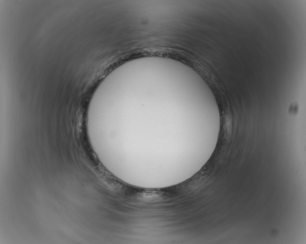 X0000114080668200910051001