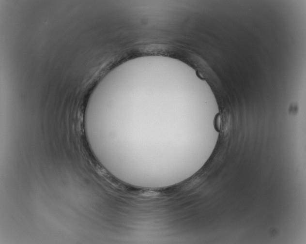 X0000114080669200910051001