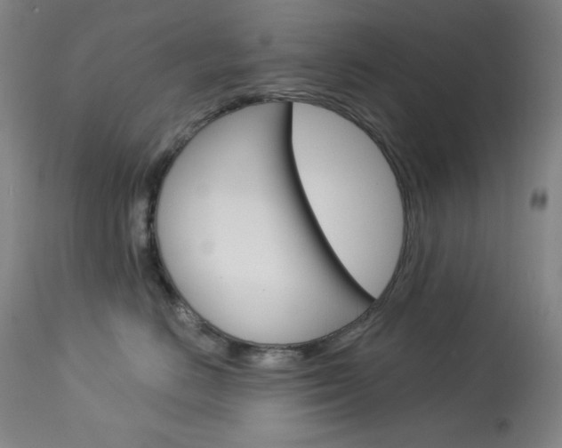 X0000114080670200910051001
