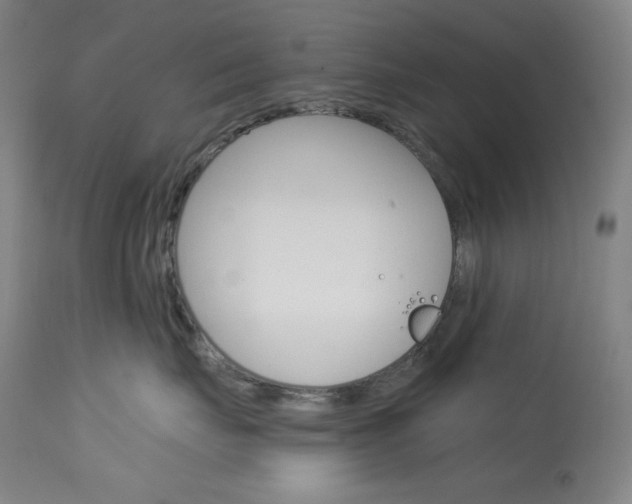 X0000114080671200910051001