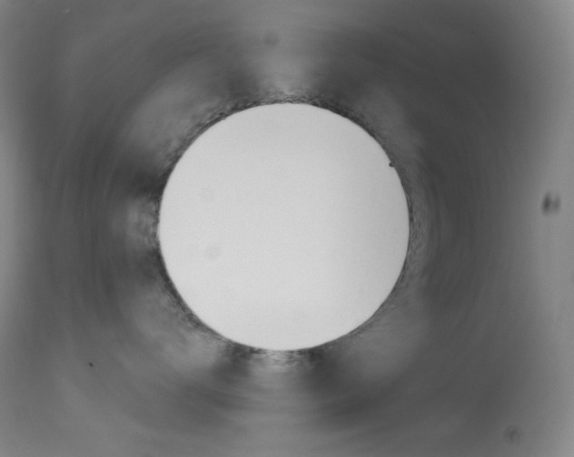 X0000114080672200910051001