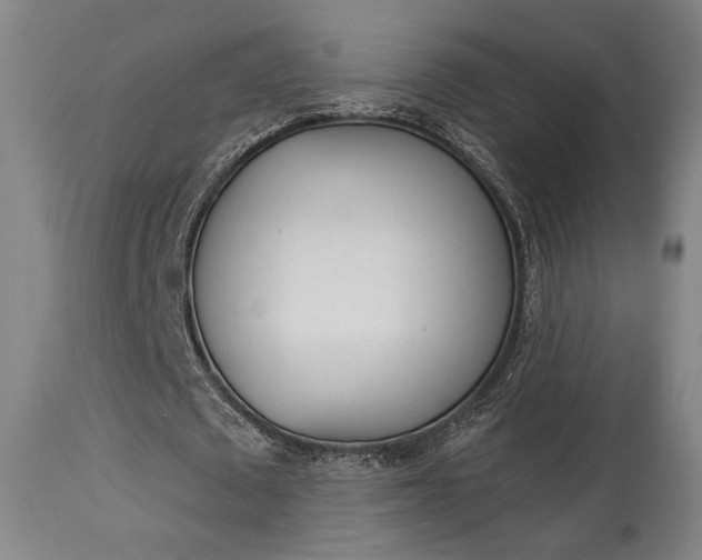 X0000114080673200910051000