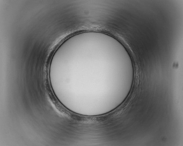X0000114080674200910051000