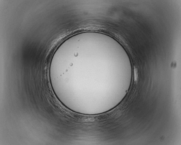 X0000114080675200910051000