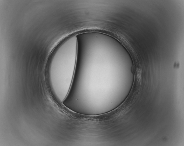 X0000114080676200910051000