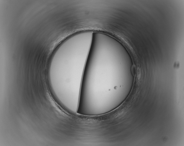 X0000114080677200910051000