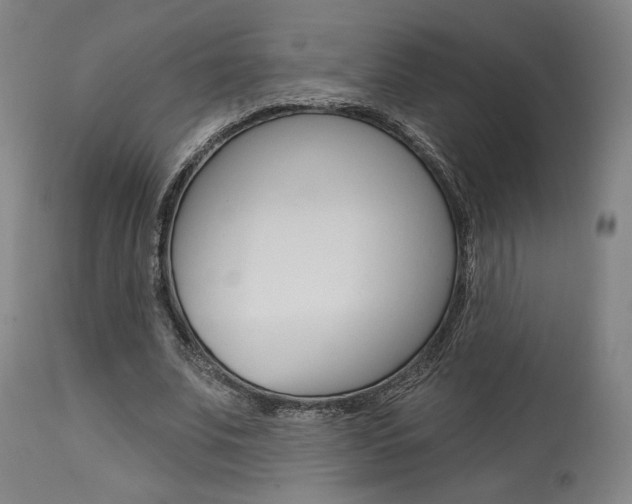 X0000114080679200910051000