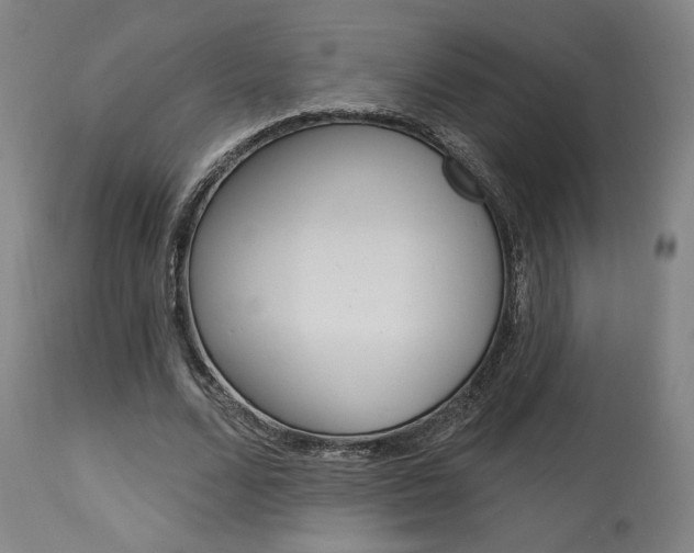 X0000114080680200910051000