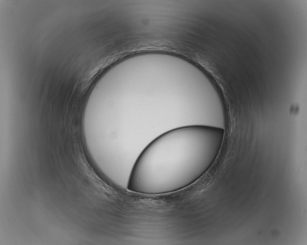X0000114080681200910051000