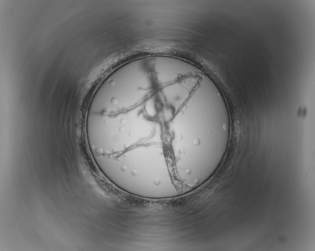 X0000114080682200910051000
