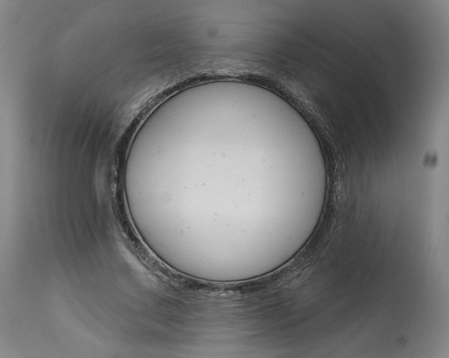 X0000114080683200910051000