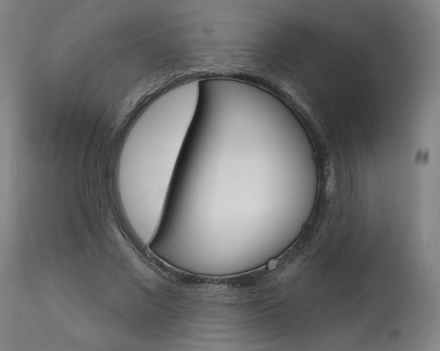 X0000114080685200910051000