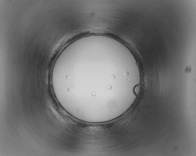 X0000114080686200910051000