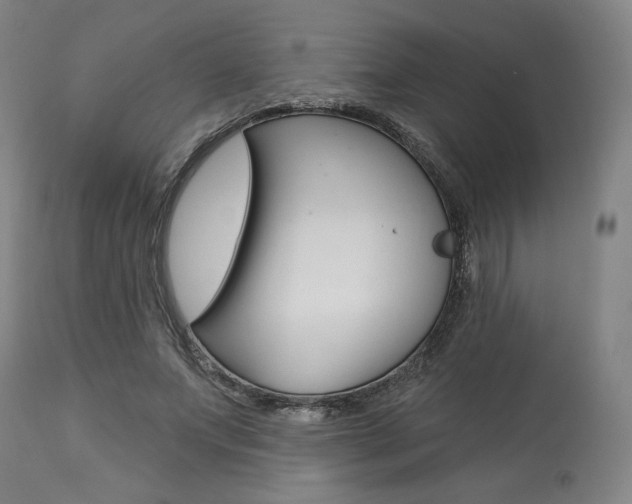 X0000114080687200910051000