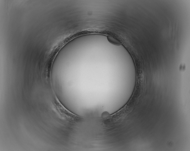 X0000114080688200910051000