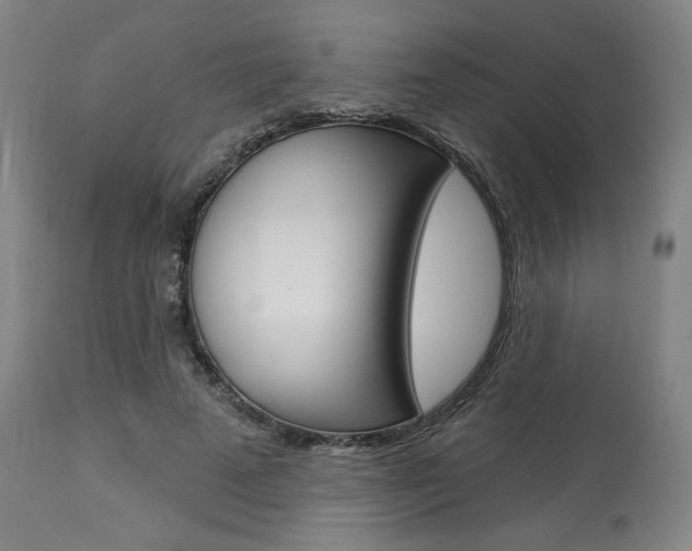 X0000114080689200910051000