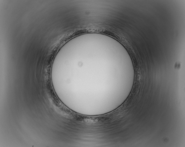X0000114080690200910051000