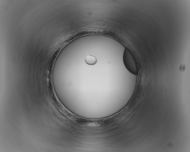X0000114080692200910051000