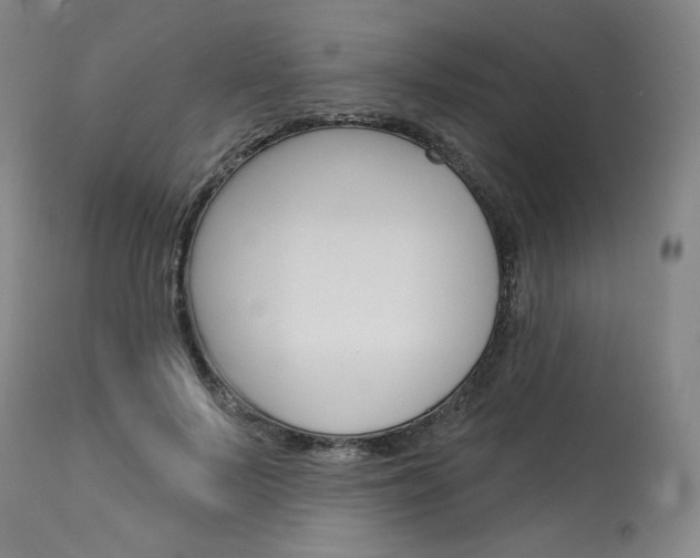 X0000114080695200910051000