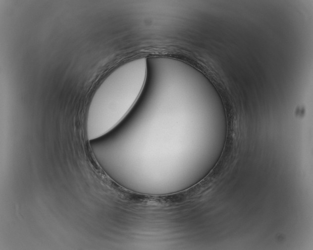 X0000114080697200910051000