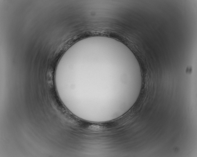 X0000114080699200910051000