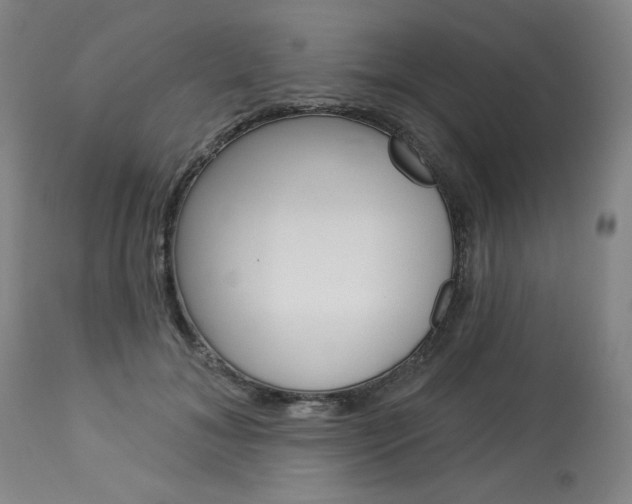 X0000114080700200910051000
