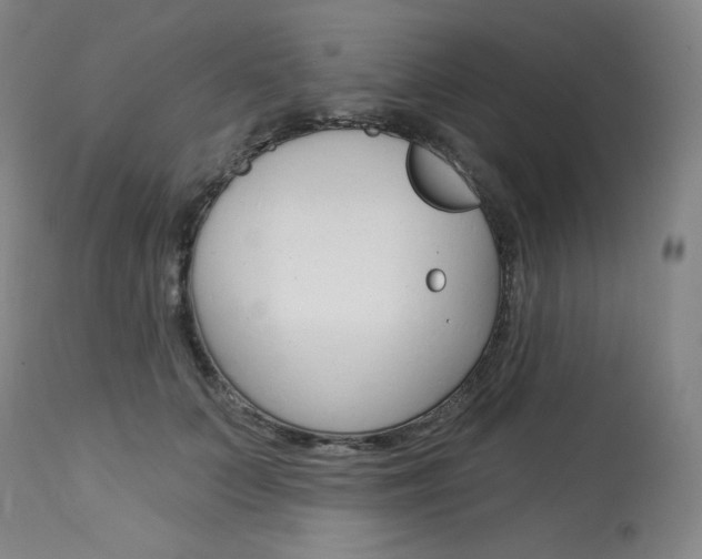 X0000114080703200910051000