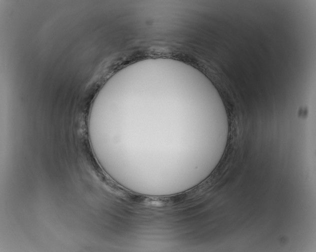 X0000114080706200910051000