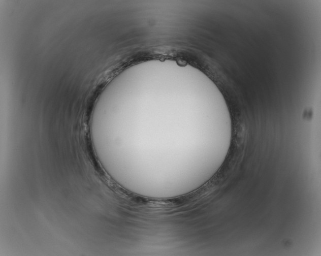 X0000114080707200910051000