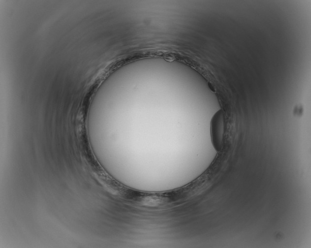 X0000114080708200910051000