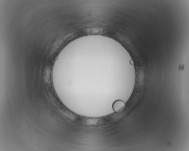 X0000114080709200910051000
