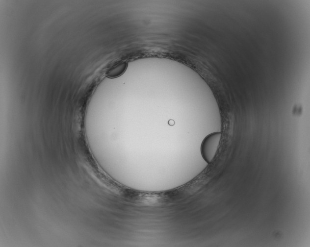 X0000114080710200910051000