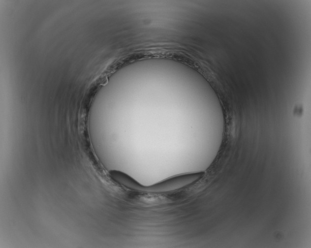 X0000114080712200910051000